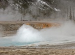 See Spouter Geyser & Grumbler, Yellowstone National Park, Wyoming