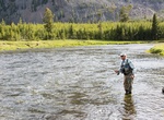 Fish Madison River, Yellowstone National Park, Wyoming