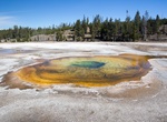 See Chromatic Pool, Yellowstone National Park, Wyoming