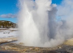See Jewel Geyser, Yellowstone National Park, Wyoming