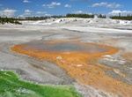 See Whirligig Geyser, Yellowstone National Park, Wyoming