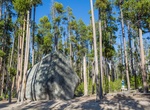 See Glacial Boulder, Yellowstone National Park, Wyoming