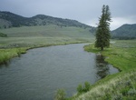 Fish Slough Creek, Yellowstone National Park, Wyoming