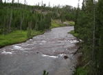 Fish Gibbon River, Yellowstone National Park, Wyoming