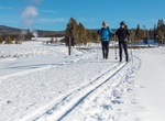 Ski & Snowshoe Yellowstone National Park, Wyoming