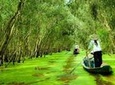 Private 3-day Incredible Mekong Delta Tour