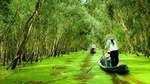 Private 3-day Incredible Mekong Delta Tour