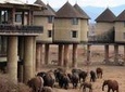 Private 6 Day Luxury Lodge Safari: Amboseli, Tsavo West, Tsavo East, Mombasa