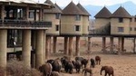 Private 6 Day Luxury Lodge Safari: Amboseli, Tsavo West, Tsavo East, Mombasa