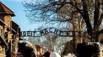 Auschwitz-Birkenau Memorial and Museum with Private Transfers from Krakow
