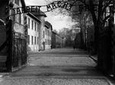 Auschwitz and Birkenau without guide private transport from Kraków