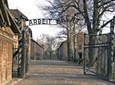 Full-Day Tour of Auschwitz and Wieliczka Salt Mine from Krakow