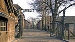 Full-Day Tour of Auschwitz and Wieliczka Salt Mine from Krakow