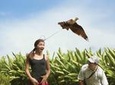 Bali Bird Park Admission Ticket