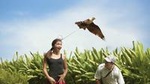 Bali Bird Park Admission Ticket