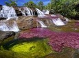 3-Day Caño Cristales (Rainbow River) from Bogotá