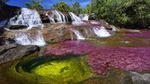 3-Day Caño Cristales (Rainbow River) from Bogotá
