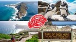 Cape Point and Boulder's Beach Penguins Tour: Including Park fee