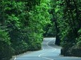 Eco-Tour (Konoko Falls- Fern Gully- Yaaman Adventure Park) from Ocho Rios