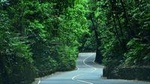Eco-Tour (Konoko Falls- Fern Gully- Yaaman Adventure Park) from Ocho Rios