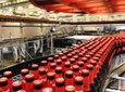 Estrella Damm Brewery Guided Tour with Tasting