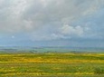 Explore the Ethiopian Rift Valley Lakes and the UNESCO Site of Steles of Tiya