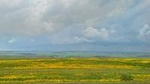Explore the Ethiopian Rift Valley Lakes and the UNESCO Site of Steles of Tiya