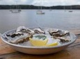 Private Sonoma Coast Food and Wine Tour. Cheese, Honey, Oysters Tasting.
