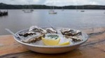Private Sonoma Coast Food and Wine Tour. Cheese, Honey, Oysters Tasting.
