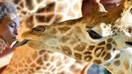 Giraffe Center Half-Day Trip from Nairobi