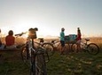 Sunset Cycle Tour of Ahuriri Estuary including Winery - Guided