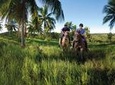 Luxury private Salvador Tour your party only