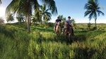 Luxury private Salvador Tour your party only