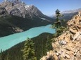 Lake Louise and the Icefield Parkway - Full-Day Tour