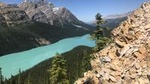 Lake Louise and the Icefield Parkway - Full-Day Tour