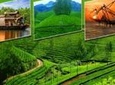Lush Malabar Coast And Colorful Kerala - A 6 Day Private Tour