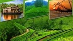 Lush Malabar Coast And Colorful Kerala - A 6 Day Private Tour