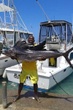 Montego Bay Private Deep Sea Fishing Boat Rental Jamaica