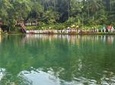 Nature's Beauty Tours