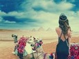 day tour to Giza pyramids with egyptology tour guide from cairo giza hotels