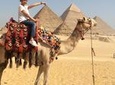 day tour to Giza pyramids ,Sakkara and Memphis 