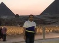 day tour to Giza Pyramids sphinx and then light show at night