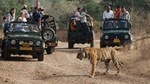 Ranthambore National Park - A Two Night Wildlife Adventure From Jaipur By Private Transfer