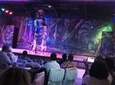 Safari Cat Dancers Show And Dinner