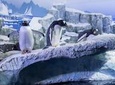 SEA LIFE Konstanz Admission Ticket