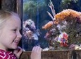 SEA LIFE Oberhausen Admission Ticket