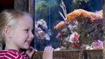 SEA LIFE Oberhausen Admission Ticket