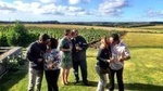 Wine Lovers - Punta del Este Wine Experience