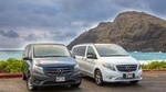 VIP Aloha Style Private Island Tour