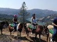 Sonoma Horseback-Riding Tour